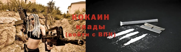 индика Бугульма