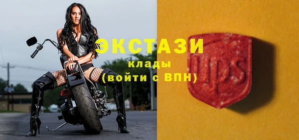 индика Бугульма