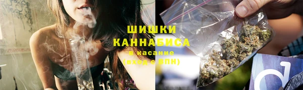 индика Бугульма