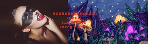 индика Бугульма
