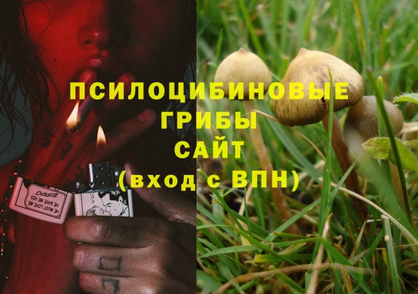 индика Бугульма