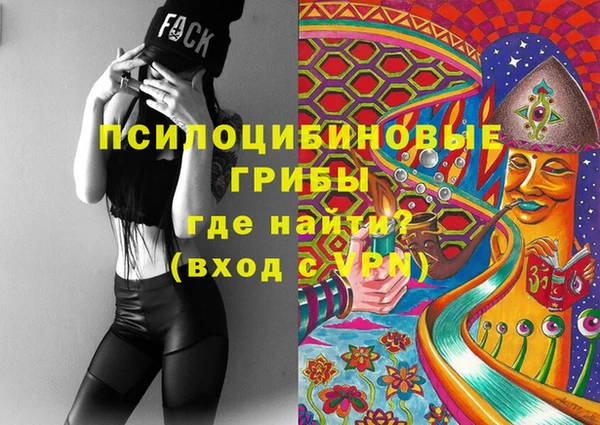 индика Бугульма