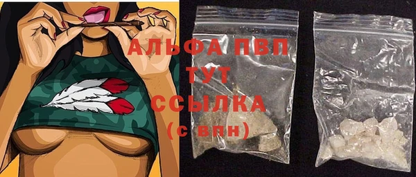индика Бугульма