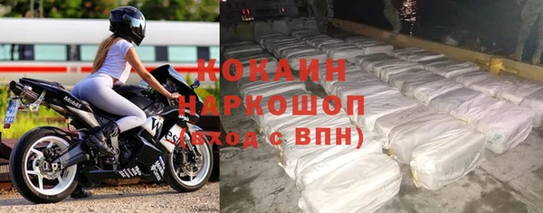 индика Бугульма